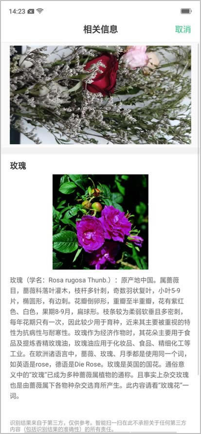 OPPO R17֙CôʹǻR﹦?_׿֙C_֙CWԺ_վ