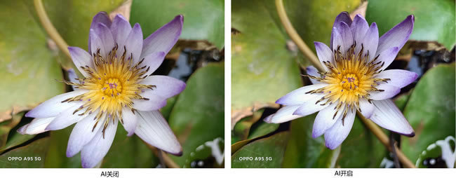 OPPO A95w OPPO A95Ԕuy_֙Cuy_֙CWԺ_վ