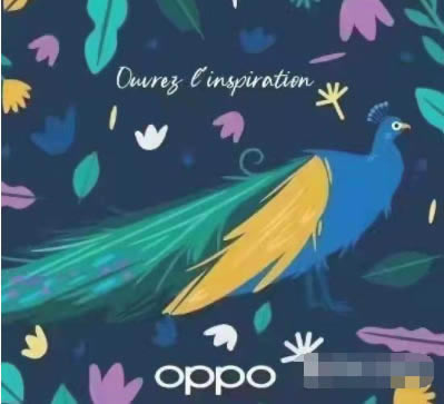 OPPOFindNô?OPPOFindNȱcB_׿֙C_֙CWԺ_վ