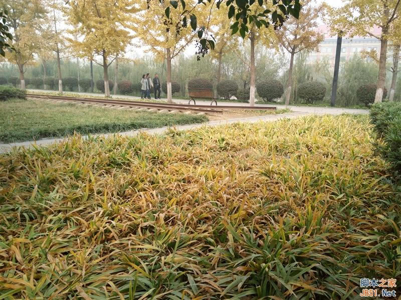 5V/5Aٶ죡OPPO N3ȫuy