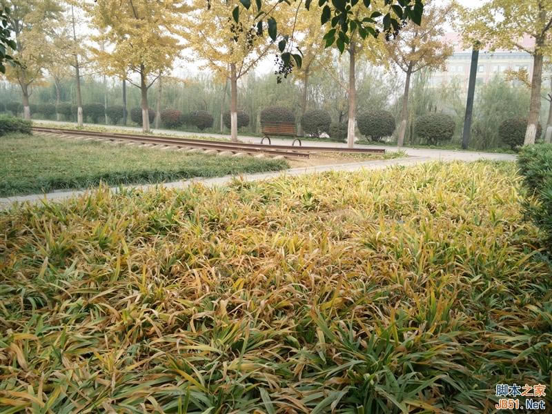 5V/5Aٶ죡OPPO N3ȫuy