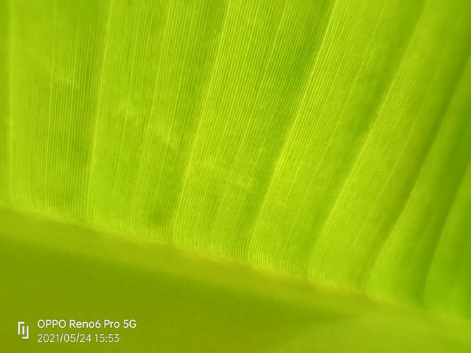 OPPO Reno6 Prow OPPO Reno6 ProԔuy_֙Cuy_֙CWԺ_վ