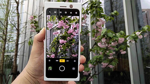 OPPO Reno֙C^աϵyܡּܷmȫuy_֙Cuy_֙CWԺ_վ