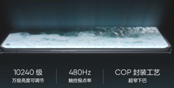 gt̽copporeno6pro^(q)euy