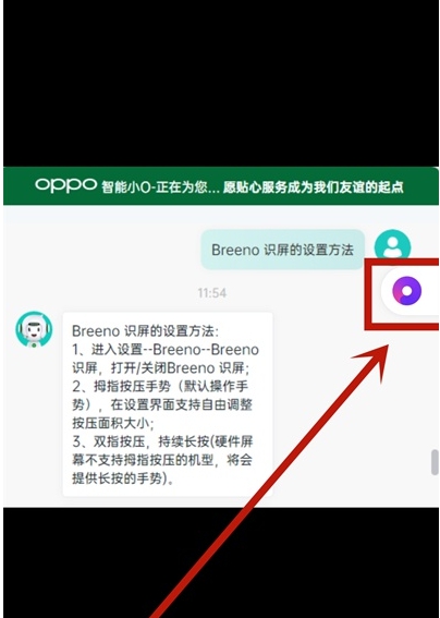 opporeno5pro֙Côȡ?_׿֙C_֙CWԺ_վ