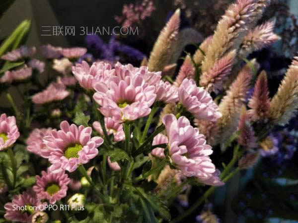 ֙Cƽ֮ OPPO R11 Plusuy