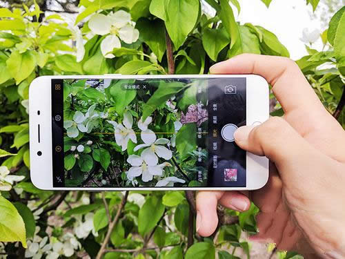 OPPO R9s¾GôӣOPPOR9s¾G՘ӏ 