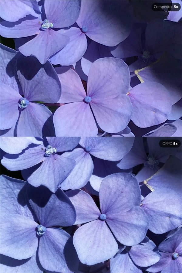 OPPOl(f)ʽpzϵy(tng)֧5W(xu)׃