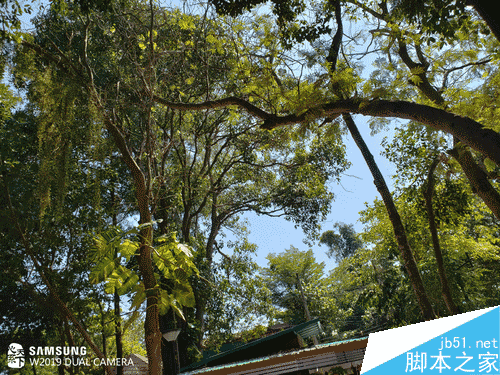 W2019֙CֵֵIW2019uy_֙Cuy_֙CWԺ_վ