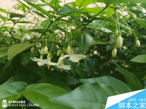 W2019֙CֵֵIW2019uy_֙Cuy_֙CWԺ_վ