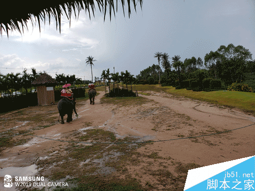 W2019֙CֵֵIW2019uy