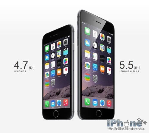 iPhone6iPhone6 plusĻ1