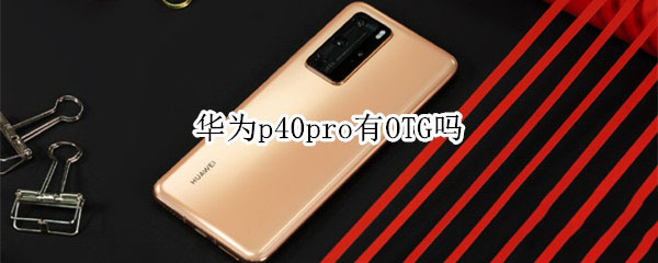 Ϊp40pro֧OTG?