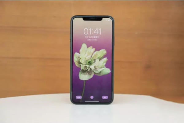 Amate30proiphone11promaxԔȽB_֙Cuy_֙CWԺ_վ