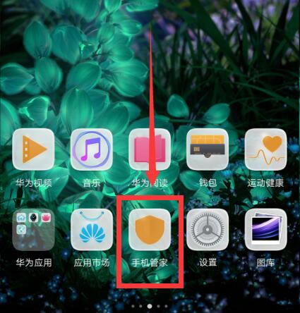 Amate10푪þ棿Amate10DԔ̳