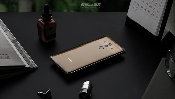 AMate 10 Pro