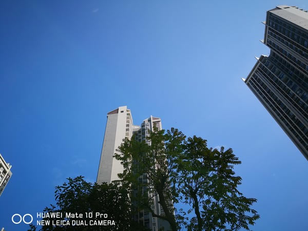 AMate 10 Pro