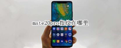 Amate20proָyʲôط