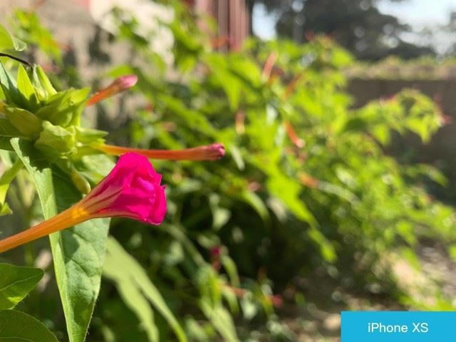 iPhone XSͻΪMate20 Proĸֵ ΪMate20 ProƻXSԱ_ֻ_ֻѧԺ_վ