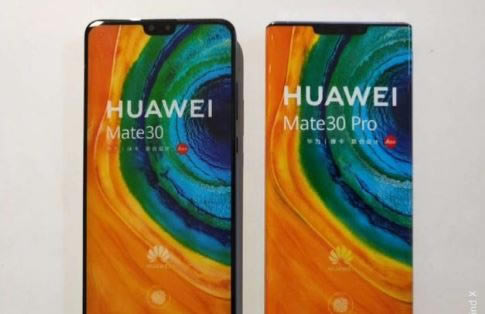 Amate30vivo NEX 3Ŀ Amate30vivo NEX 3^e_֙Cuy_֙CWԺ_վ