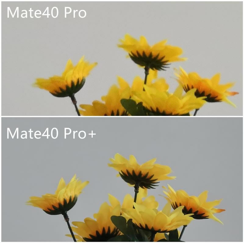 AMate40 Pro+ֵֵI AMate40 Pro+֙Cȫλuy_֙Cuy_֙CWԺ_վ