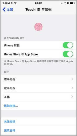 OiPhone 6