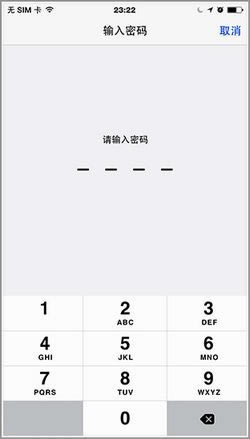 OiPhone 6