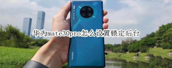 Amate30proO(sh)i_(ti)?
