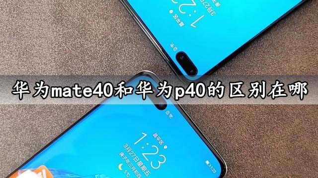 Amate40Ap40ą^e Amate40Ap40ą^eB_֙Cuy_֙CWԺ_վ