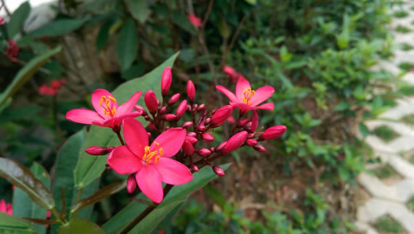 htc m8՘ӏ