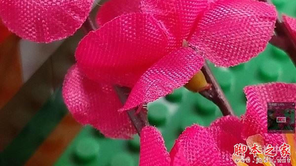 AMate9c(lin)MotoZxĂãMotoZAMate9^(q)euy_֙Cuy_֙CWԺ_վ