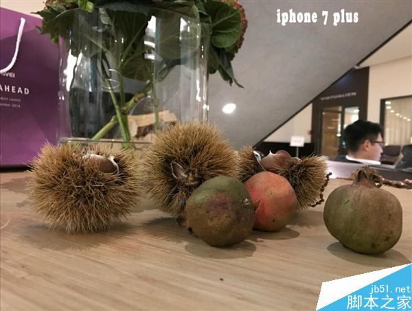 lıF?AMate 9ՌiPhone 7 Plus_֙Cuy_֙CWԺ_վ