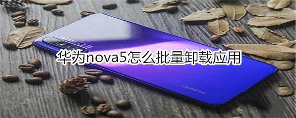 Anova5жd?_׿֙C_֙CWԺ_վ