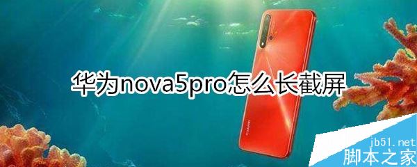 Ϊnova5 proôΪnova5 pro̳