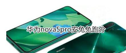 Ϊnova5proܷأ