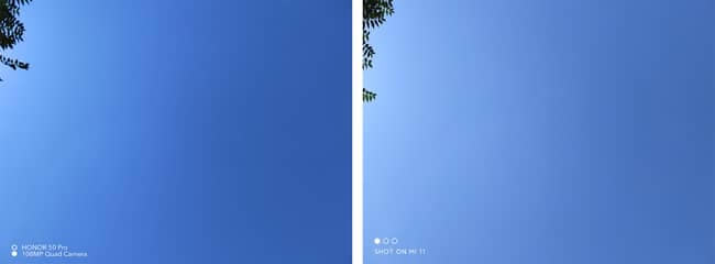 sҫ50Prow(yn) sҫ50Prou(png)y(c)_֙C(j)u(png)y(c)_֙C(j)W(xu)Ժ_վ