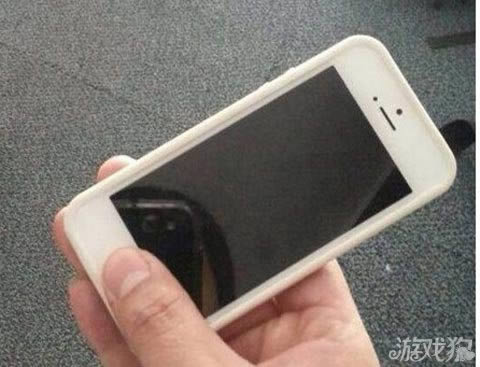 iPhone5sָƽ¼Ʋ뿪?4