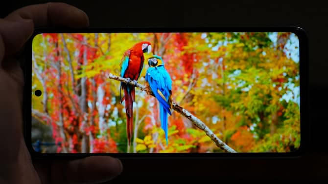 vivo T1w vivo T1wuy_֙Cuy_֙CWԺ_վ