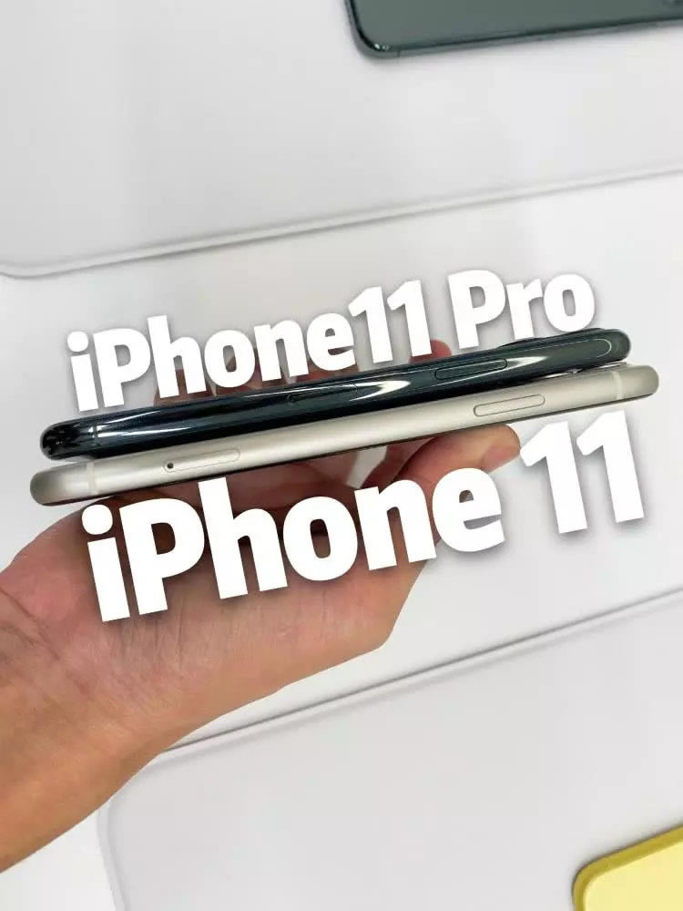 iPhone11iPhone11Proѡĸ ƻiPhone11ȶԱ11Pro_ֻ_ֻѧԺ_վ