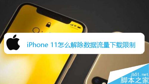 iPhone 11ôƣiPhone11Ƶķ_ƻֻ_ֻѧԺ_վ