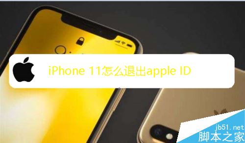 iPhone 11ôлapple ID¼iPhone 11л¼apple ID̳_ƻֻ_վ