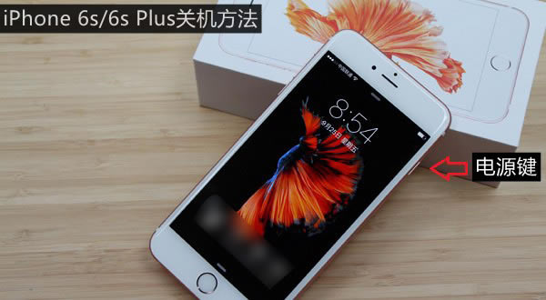 iPhone 6sôػ2iPhone 6s/Plusػ