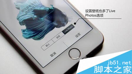 iphone6s/Plusֽ̬̳  iPhone6s/Pluslive photoֽ̬ͼ_ƻֻ_վ