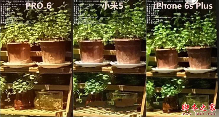 С5 /PRO 6 /iPhone 6s PlusնԱ