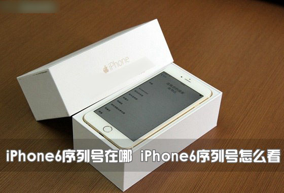 iPhone6кôƻiPhone6кŲѯͼ_ƻֻ_ֻѧԺ_վ