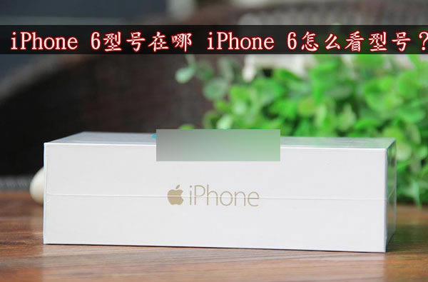 iPhone 6ͺ￴?ôiphone6ͺŷ_ƻֻ_ֻѧԺ_վ