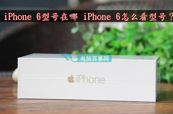 iPhone6ͺʲôطοͺԴжiphone6ǷΪл