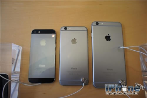 iphone6/iPhone6 Plus iPhone5һ iphone6/iPhone6PlusiPhone5sԱͼ