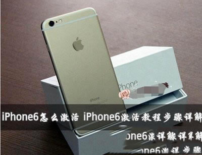 iphone6X iphone6X̳