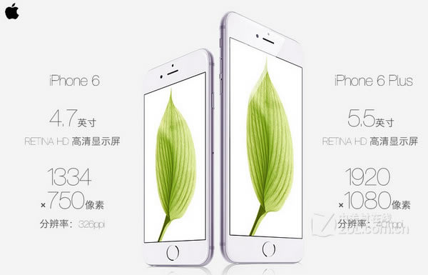 iPhone6iPhone6 PlusЩƻiPhone6 PlusٷԱͼ _ƻֻ_ֻѧԺ_վ